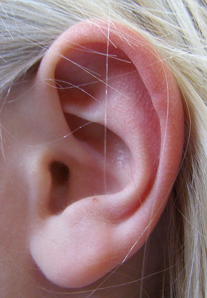 psychoacoustic tricks : your ears are fooling you, or maybe it is your brain...